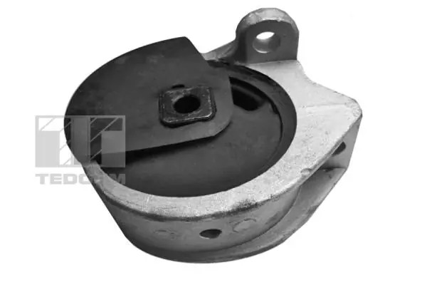 TEDGUM 00416329 - , . .