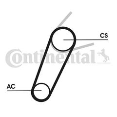 CONTINENTAL CTAM 5PK711 ELAST T1 - poly-V-thumb-1