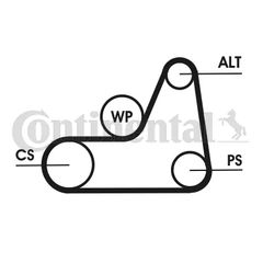 CONTINENTAL CTAM 6PK1042 ELAST T1 - poly-V-thumb-1