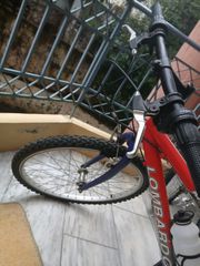 All Terrain-thumb-6