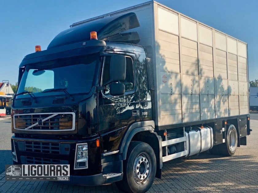 Ζωάδικο Volvo 2007 FM300 ΔΙΠΑΤΑΡΟ