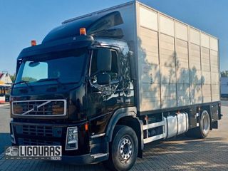 Ζωάδικο Volvo 2007 FM300 ΔΙΠΑΤΑΡΟ