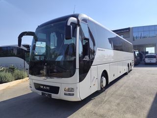 MAN 2015 Lions Coach