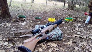 DIANA - AIR ARMS - FEINWERKBAU - DAYSTATE - THEOBEN - HW Weihrauch