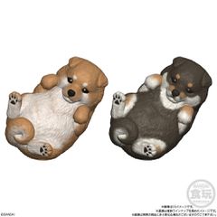 Mocchiri Kororin Dogs assorted figure-thumb-1