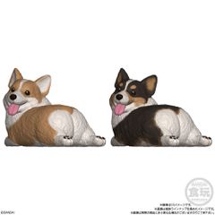 Mocchiri Kororin Dogs assorted figure-thumb-3