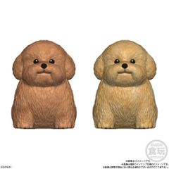Mocchiri Kororin Dogs assorted figure-thumb-4