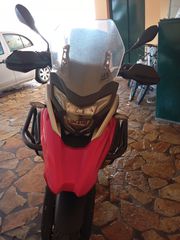 Daytona Maverick 2022-thumb-10