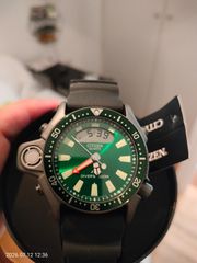 Citizen Aqualand Promaster Limited Edition