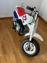 Honda Z 50 1993 z50 r-thumb-1