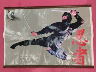 Αφίσα Ninja - (Fly Kick)