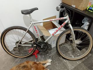 All - Mountain Fisher 2000