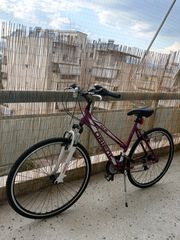 Πόλης Orient 2025 Orient Pulse 28" 2025 Lady