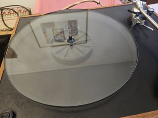 REGA-thumb-5