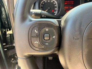 Fiat Panda 2023 CROSS 1.0 MILD-HYBRID-thumb-12