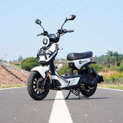 Tailg 2026 X51 LEAD ACID 25km/h