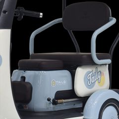 Tailg 2026 X4 LEAD ACID 25km/h-thumb-4
