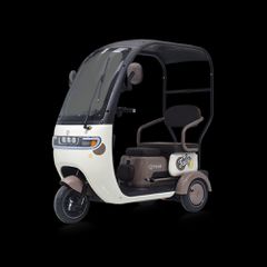 Tailg 2026 X4 LEAD ACID 25km/h-thumb-1