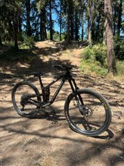 Downhill - Enduro - Trail Propain 2023 tyee