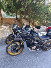 Voge DS 800Χ RALLY 2025