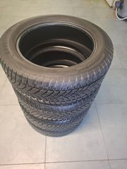 235 55 R19 XL χειμερινα goodyear sealtech