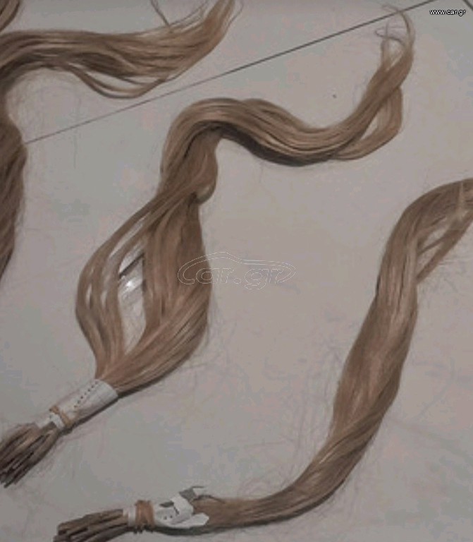 Extensions