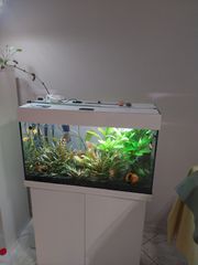 JUWELL 140 L ΕΝΥΔΡΕΙΟ + ΨΑΡΙΑ, ΦΥΤΑ , ΕΞΟΠΛΙΣΜΠΟΣ.