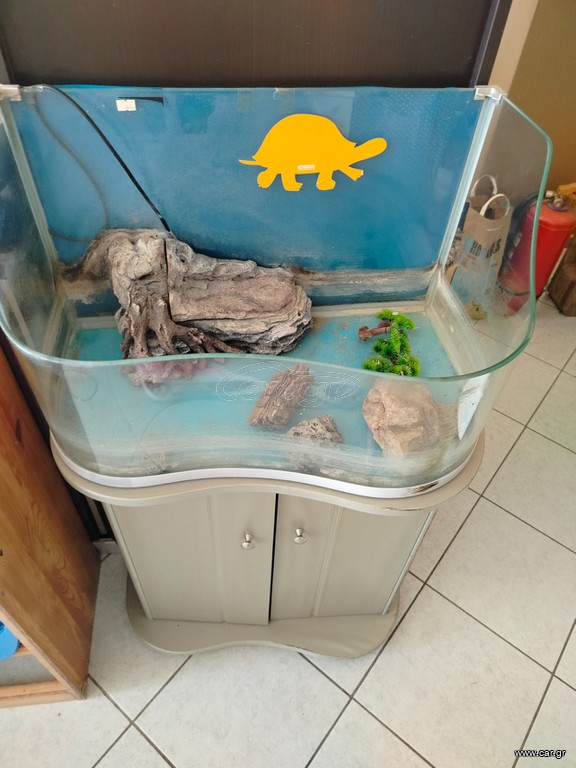 Χελωνιερα