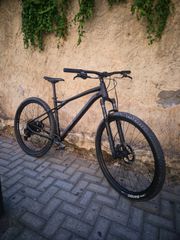All - Mountain GT 2024 Avalance Expert