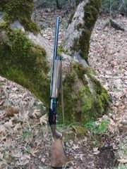 Benelli Centro-thumb-2