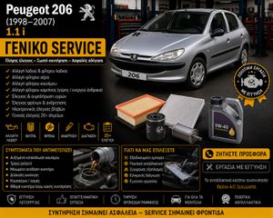 Peugeot 206 (1998–2007) 1.1 i - Γενικό Service