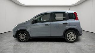 Fiat Panda 2022 COMING SOON STREET-thumb-6