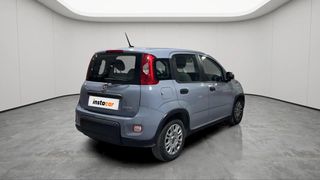 Fiat Panda 2022 COMING SOON STREET-thumb-3