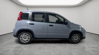 Fiat Panda 2022 COMING SOON STREET-thumb-2