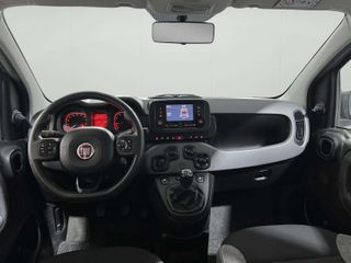 Fiat Panda 2022 COMING SOON STREET-thumb-10