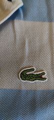 POLO SHIRT LACOSTE-thumb-1
