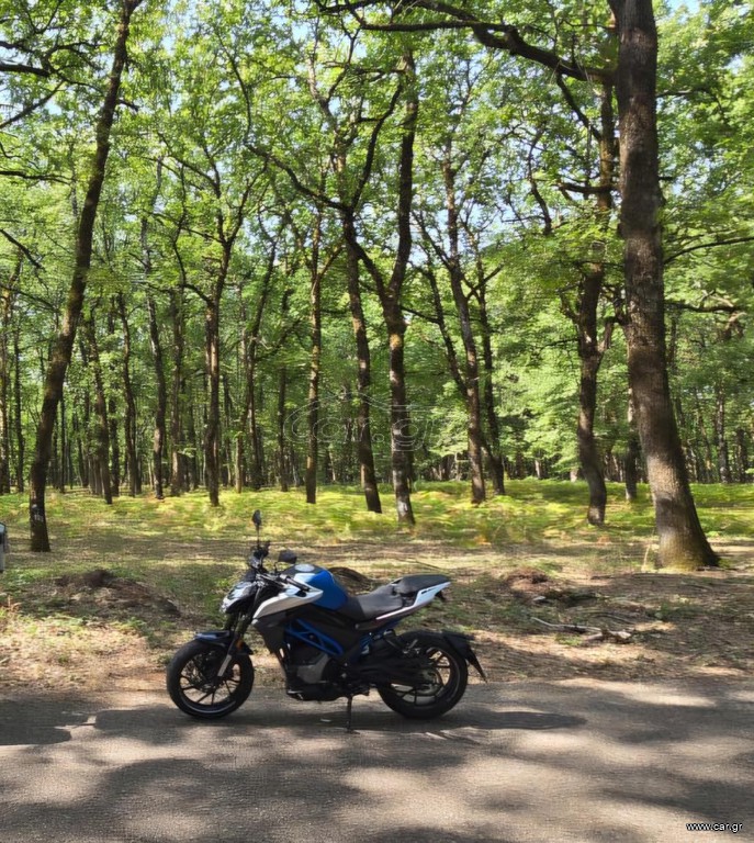 CFmoto 300NK 2024