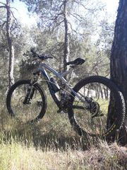 Downhill - Enduro - Trail Specialized 2011 2011-thumb-5