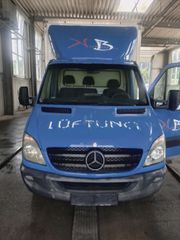 Κόφα Mercedes-Benz 2010 313