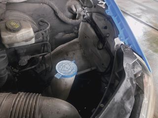 Κόφα Mercedes-Benz 2010 313-thumb-19