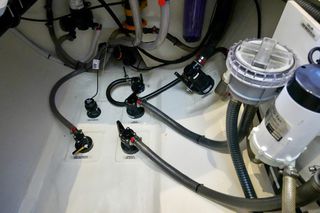 Leopard 2020-thumb-24
