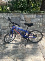All - Mountain Alpina 2022 Alpha