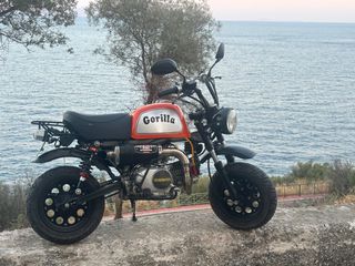 Skyteam Gorilla 125 2010