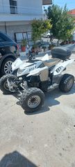 Aeon Cobra 350 2009