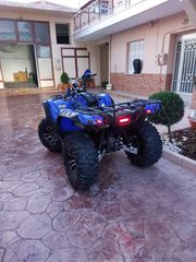 Yamaha Grizzly 700 2008 Grizzly 700