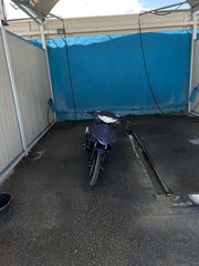 Modenas Dynamik 2004
