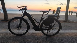 Πόλης Giant 2024 Giant roam e gts