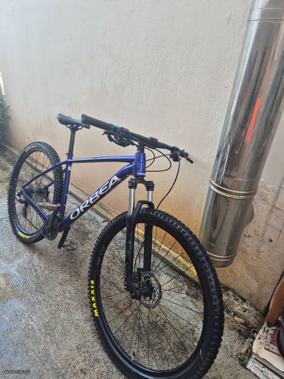 All - Mountain Orbea 2024