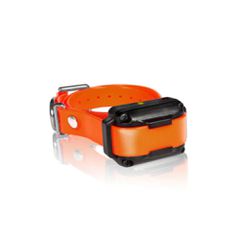 Dogtra iQ Plus Πρόσθετο Κολάρο / Δέκτης Εκπαίδευσης Σκύλου