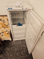 Καταψύκτης Όρθιος